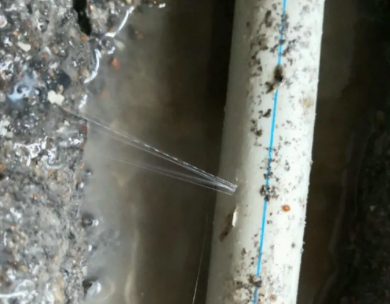 沧县测漏水哪家好