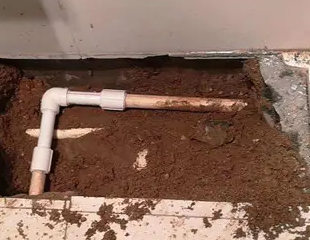 沧县测漏水哪家好