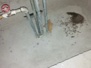 沧县卫生间测漏水价格明细